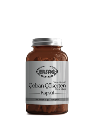 ersaĞ cÜce palmİye (saw palmetto) (kopya)