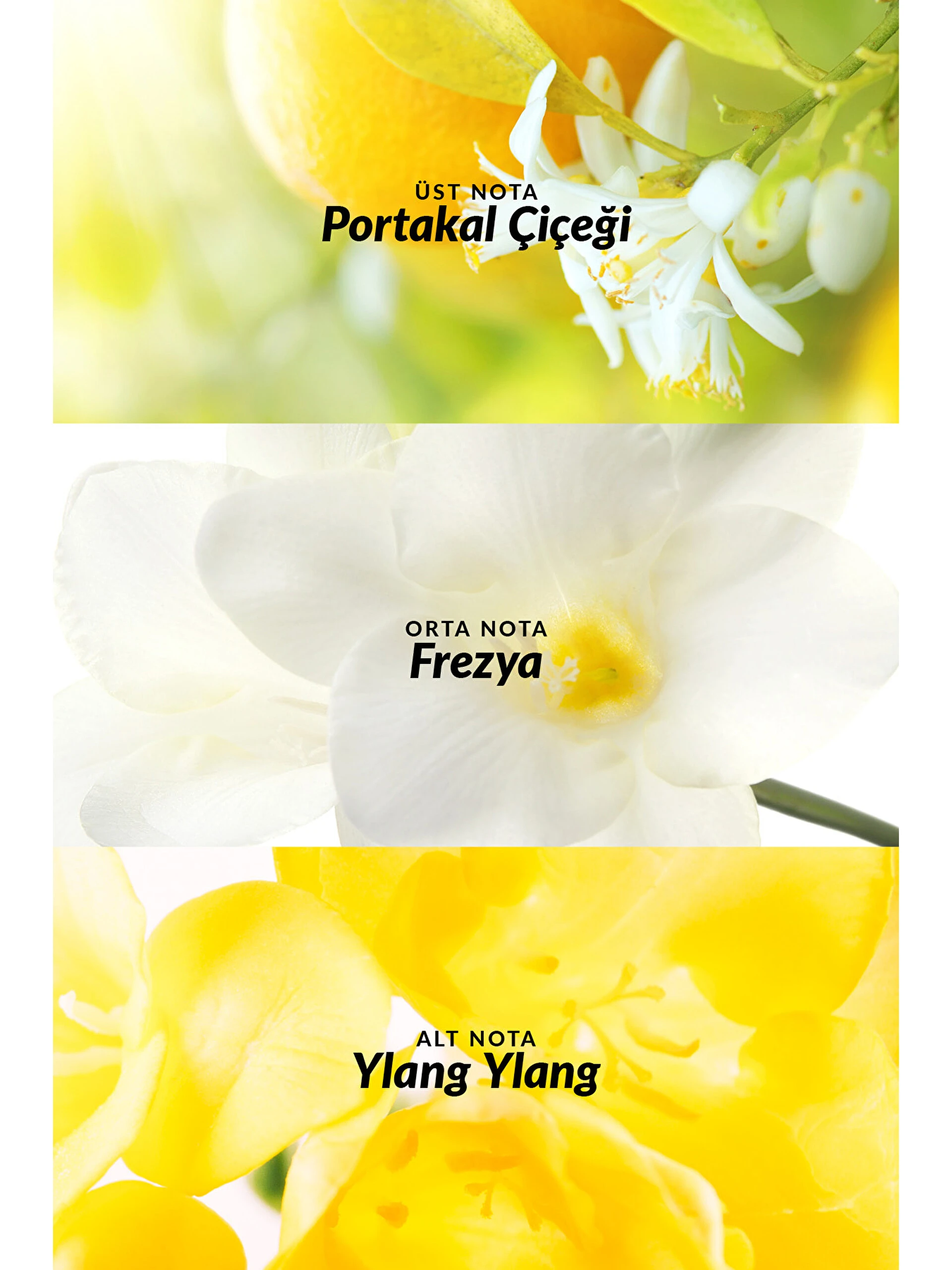 Avon TTA Today Kadın Parfüm ve Vücut Losyonu Paketi – 50 ml EDP + 125 ml Vücut Losyonu - Görsel 2