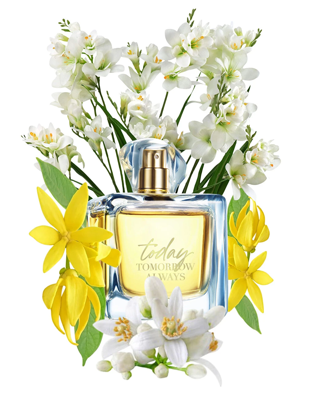 Avon TTA Today Kadın Parfüm ve Vücut Losyonu Paketi – 50 ml EDP + 125 ml Vücut Losyonu - Görsel 3